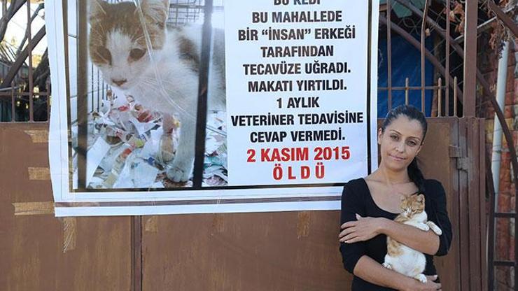 Mersinde kediye tecavüz