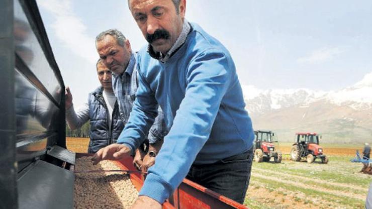 Ovacık Belediye Başkanı 78 öğrenciye burs veriyor