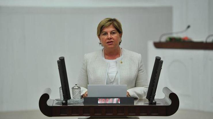 CHPden şap soru önergesi