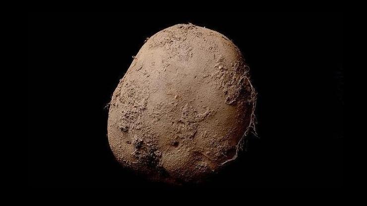 Patates fotoğrafına 1 milyon euro