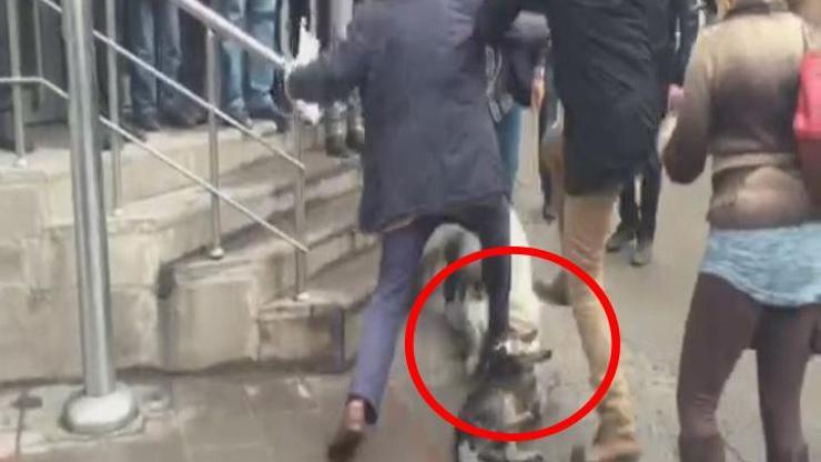 Köpeklerin kavgasını tekme atarak ayırmaya çalıştılar