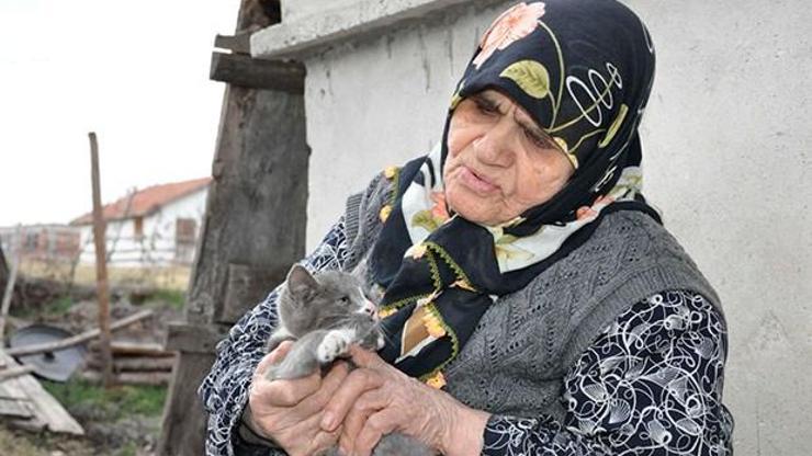 Kediler aç kalır diye köyden ayrılmıyor