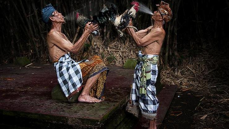 Sony fotoğraf ödülleri sahiplerini buldu