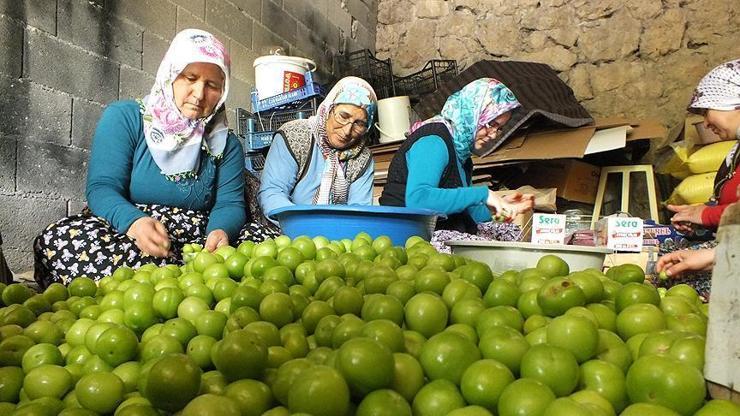 Eriğin fiyatı düşmeye başladı
