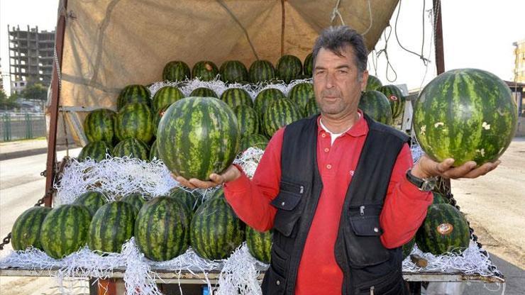 Adana karpuzuna İran ve Afrika darbesi