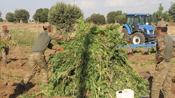 Piyasa değeri 8,5 milyon lira