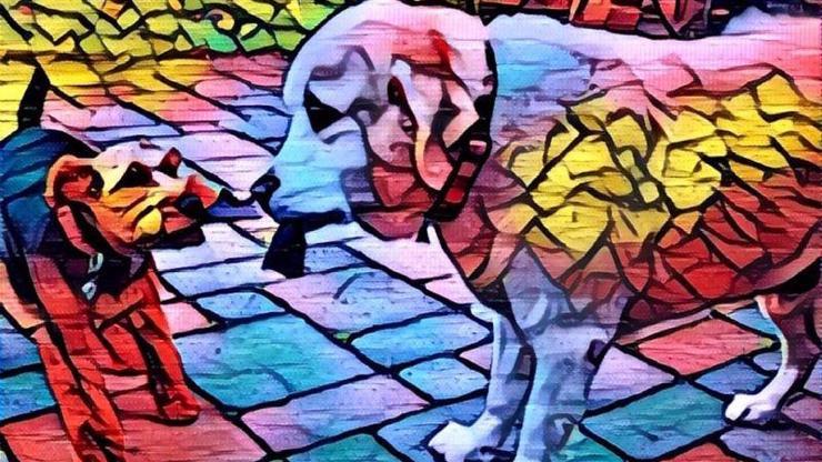Prisma fotoğraf düzenlemeye yeni bir boyut kazandırdı
