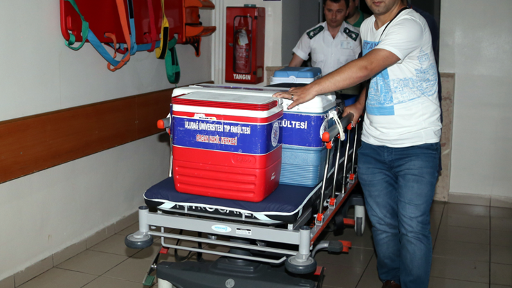 Organ bağışı 3 can daha kurtardı