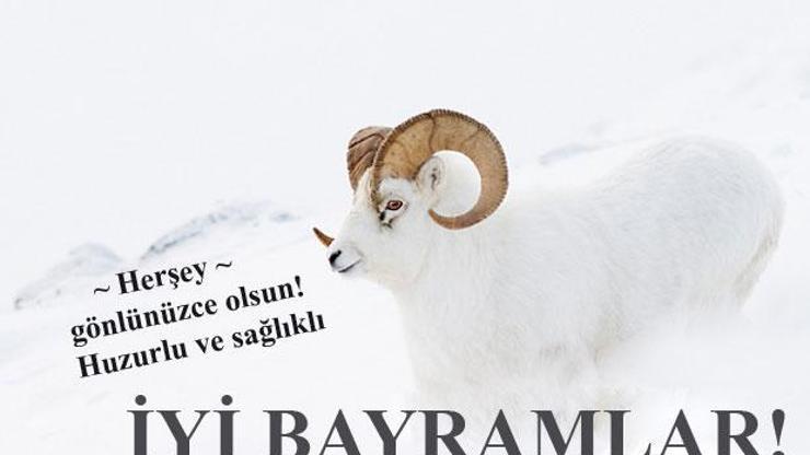 En özel Kurban Bayramı mesajları | 2016 Kurban Bayramı namaz saati
