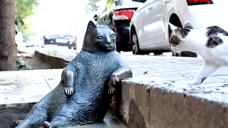 Kadıköy’ün bıçkın kedisi Tombili’nin heykeli yapıldı