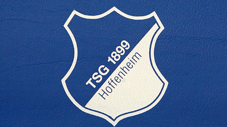 Ajaxın antrenörü Hoffenheimın teknik direktörü oluyor