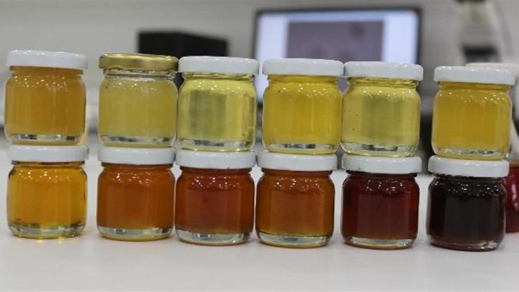 Arıcılıkta kullanılan antibiyotikler sağlığı tehdit ediyor