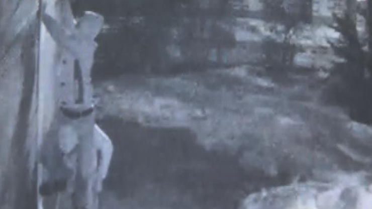 Sireni kırıp alarmı unuttular