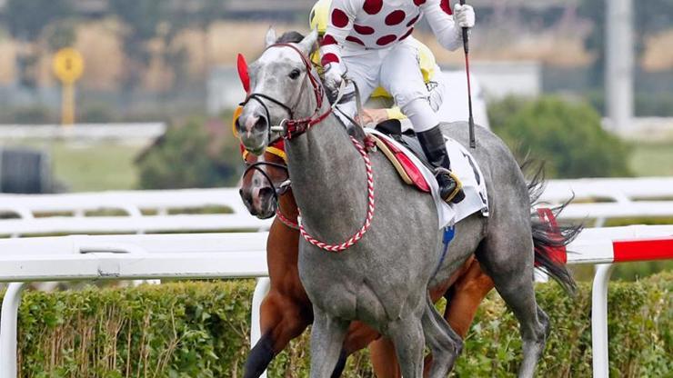 Dubaide kalpler Graystorm için atacak