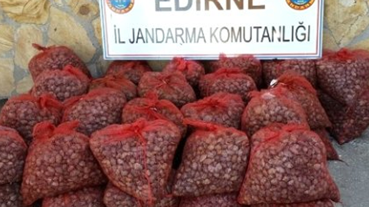 2 ton 800 kilo kaçak midye ele geçirildi