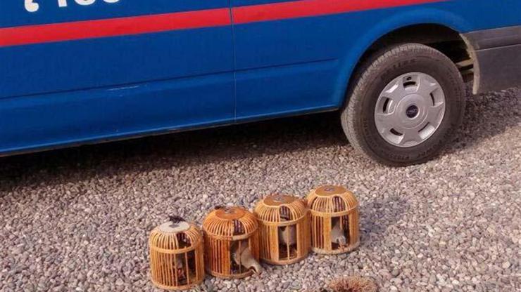 Tuzakla keklik avlayan 3 kişiye para cezası