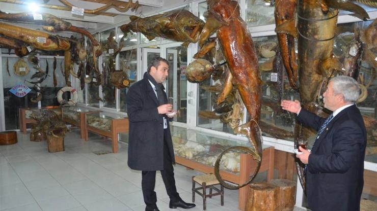 Sunucu Gökhan Taşkın: “Bunlar balık değil canavar”