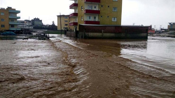Kurtalanda şiddetli yağış, su baskınlarına neden oldu