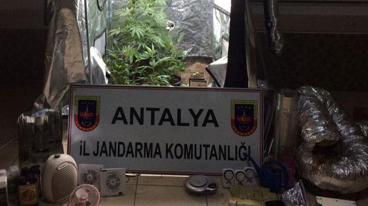Antalyada skunka jandarma baskını