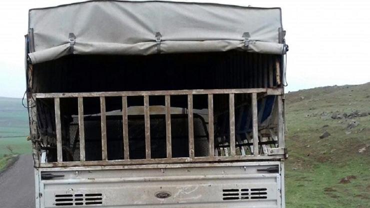 Bingöl’deki hayvan hırsızları, Diyarbakırda yakalandı