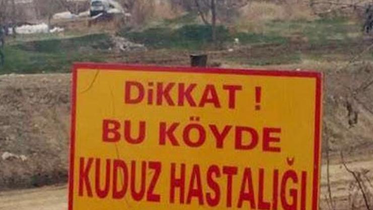 Dikkat Bu köyde kuduz hastalığı var