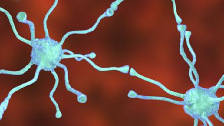 Parkinsonun tedavisi mümkün olacak mı