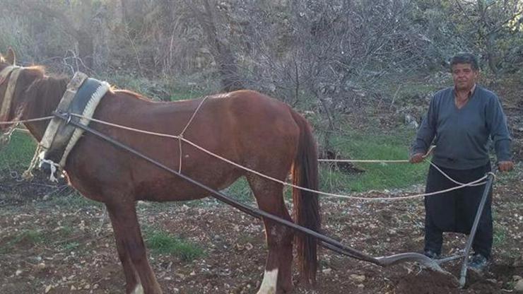 Adıyamanda vahşi cinayet