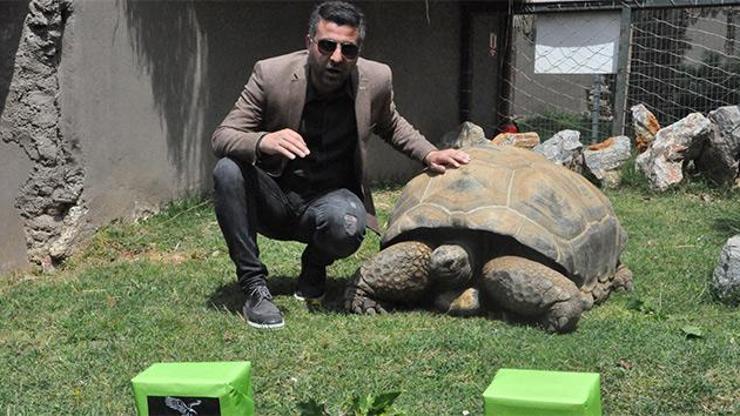 Kaplumbağa Tukinin derbi tahmini
