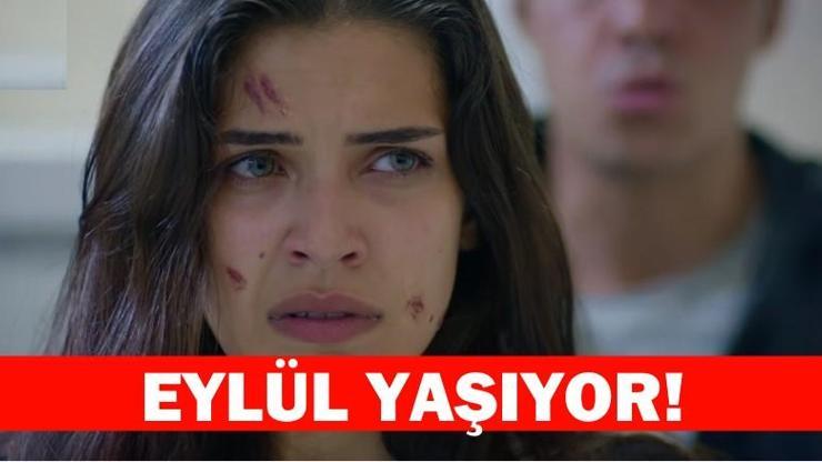 Kemal, Kırgın Çiçekler 83. son bölümde diziye dönen Eylül tarafından bıçaklanacak