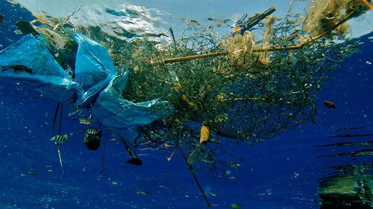 Yemeklere plastik serpiyoruz