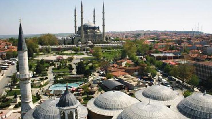 Edirnede çam ormanına kedi köyü yapılıyor