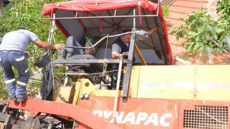 İncir ağacı faciayı önledi