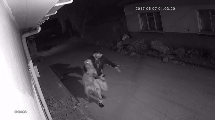 Koyun hırsızları güvenlik kamerasına yakalandı