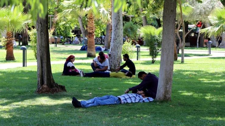 Aydın’da termometreler 39 dereceyi gösterdi