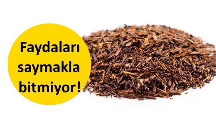 Rooibos çayı faydaları ve yan etkileri