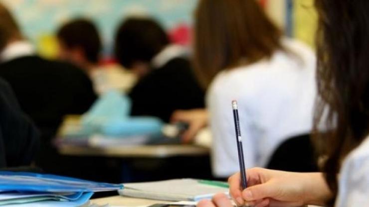 MEB sorgu sayfası: 2017 AÖL (Açık Öğretim Lisesi) sınav sonuçları
