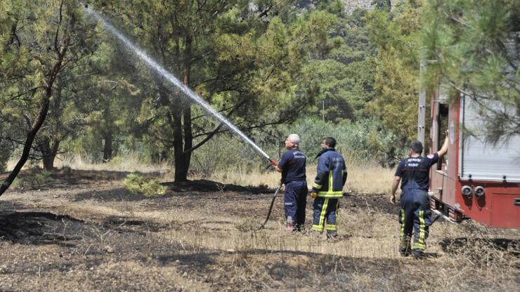 Erken müdahale: Bir orman böyle kurtarıldı