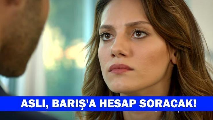 Aslı, Ateşböceği 6. bölümde itiraf peşine düştü