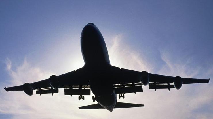 Dev kuşlar pilotsuz uçabilir mi