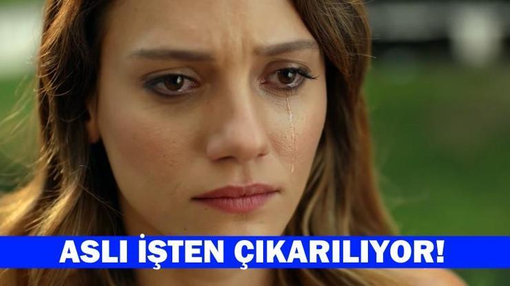 Kötü haber Ateşböceği son bölümde Aslıya Barış tarafından verildi
