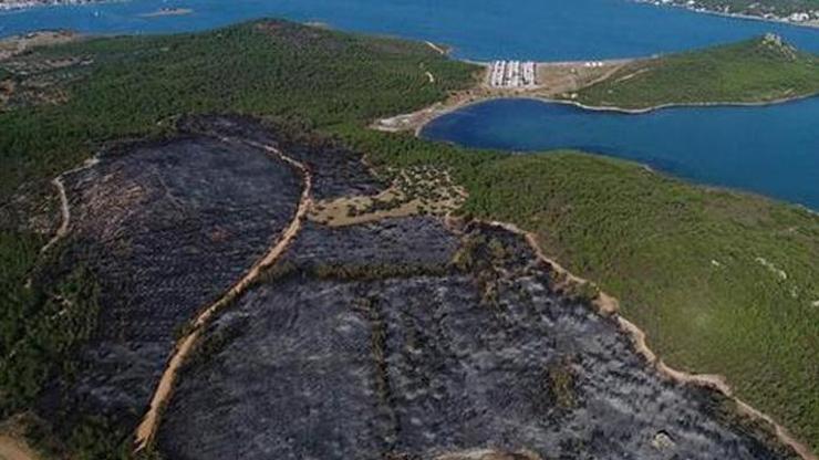 Cennet koydaki yangında büyük şüphe