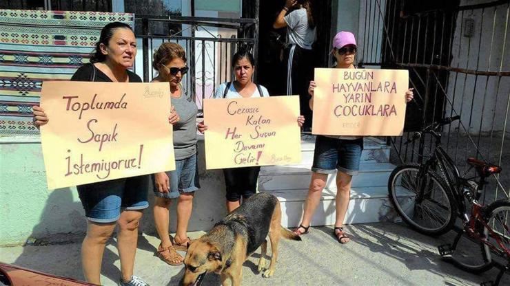 Köpeğe tecavüz iddiası hayvanseverleri ayaklandırdı