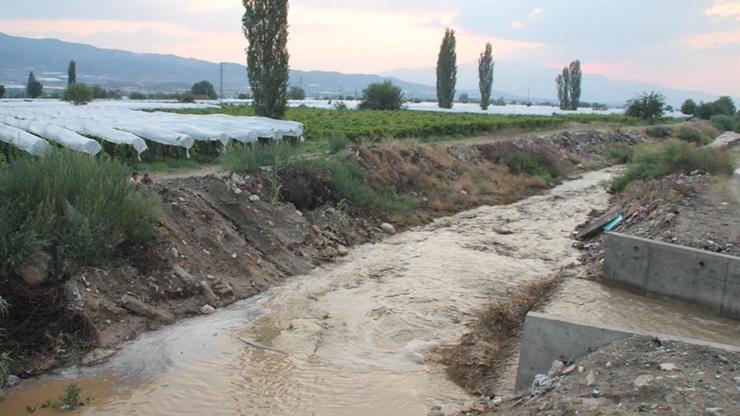 Üzüm bağlarını sel bastı