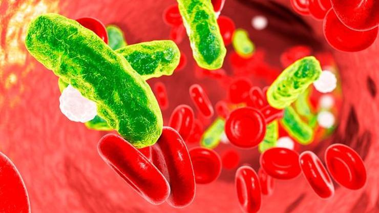 Dünyada 6 milyon kişinin ölüm nedeni sepsis