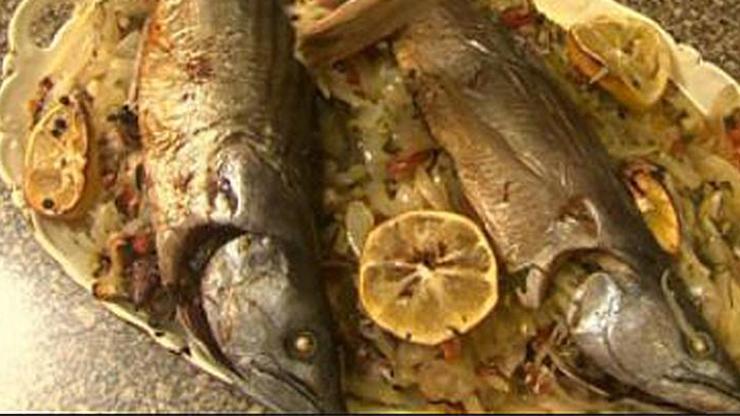 Palamut dolması tarifi