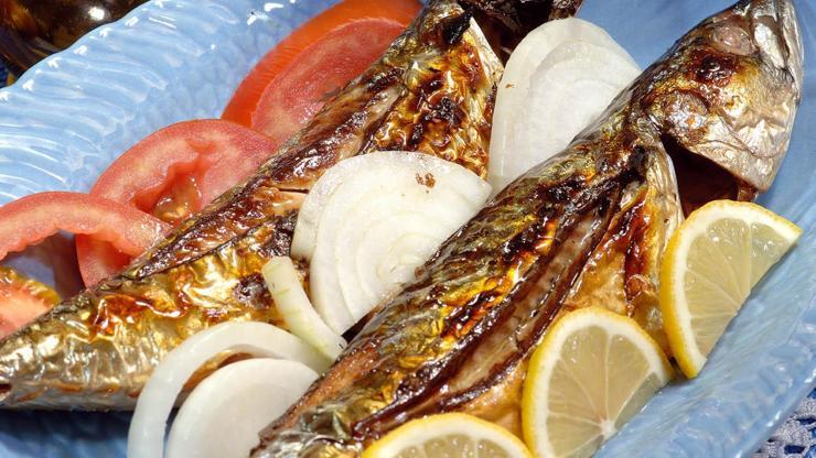Lüfer dolması nasıl yapılır İşte lezzetli balık tarifleri