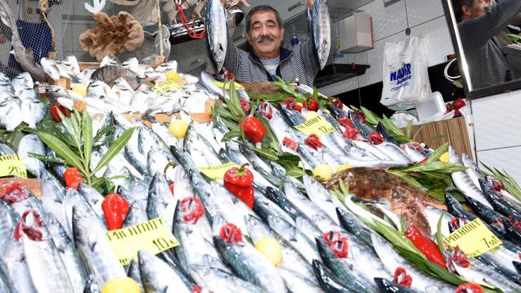 Palamut fiyatları düştü