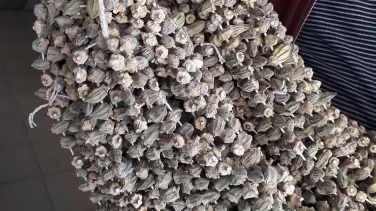 Kuru bamya gram altınla yarışıyor