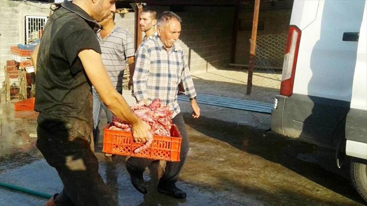Kaçak tavuk kesimine operasyon
