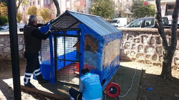 Avcılarda sokak hayvanları kışı sıcak geçirecek